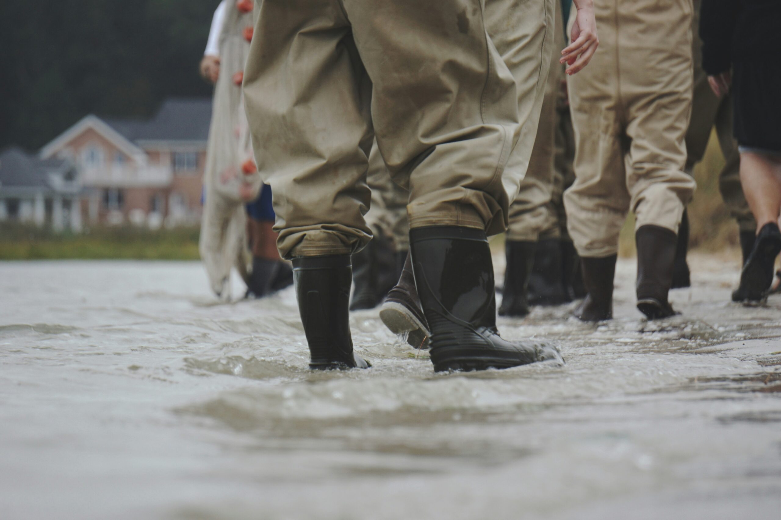 Pet Care During Floods