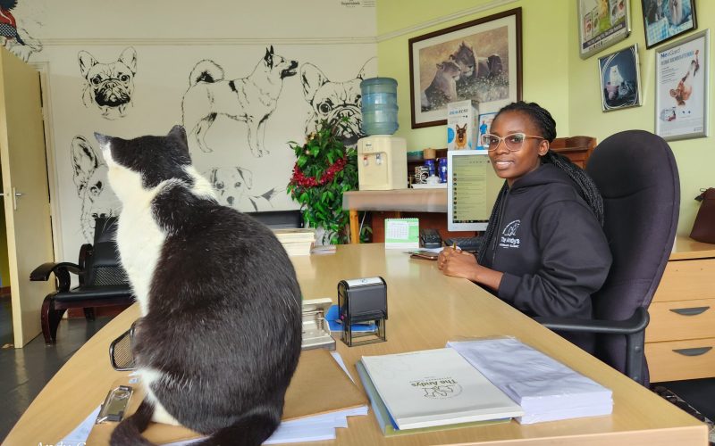 The Andy's Veterinary Clinic Kiambu Road The Andy's veterinary clinic, established in 2004