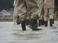 Pet Care During Floods