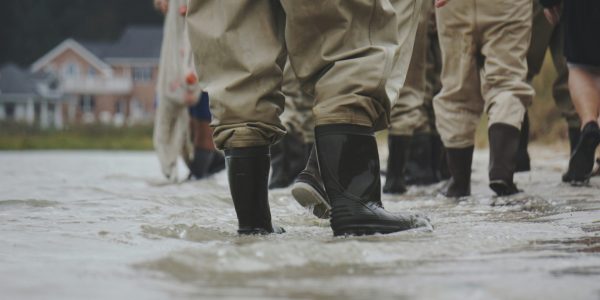 Pet Care During Floods